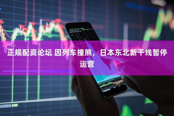 正规配资论坛 因列车撞熊，日本东北新干线暂停运营